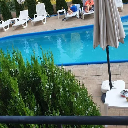 Kale Summer Life Sunny Beach